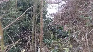 Schn&auml;ppchenhaus 93 / Grundst&uuml;cksgrenze weiter frei schneiden mit der Heckenschere am Hang im Winter
