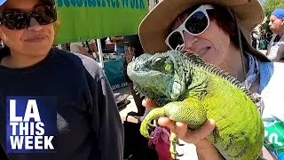 Blessing of the Animals 2025 at El Pueblo
