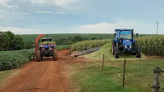 Iniciando a silagem e já começamos bem... fazendo silagem de NH 8030