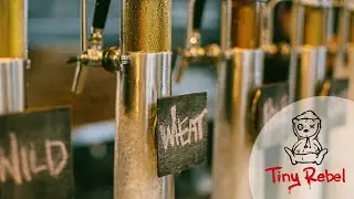 Showreel - Virtual Beer Tasting and Magic Experience