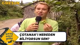 Çotanak Nasıl Toplanır? - Giresun | Şoray Uzun Yolda