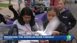 Family Fall Fest celebrates nature at River Bend Park on American River Parkway