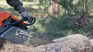 G888 42 in bar 404 chain! Bark box 121 cc