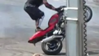 Bulldog bash stunts