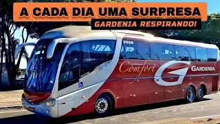 MOVIMENTAÇÃO DE ÔNIBUS NA PRAÇA DA CEMIG EM CONTAGEM
