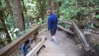 DISCOVER MARYMERE FALLS | Hidden Gem of the Olympic National Park