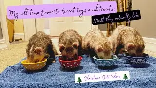 My all time favorite ferret toys and treats: Stuff they actually like / Christmas gift ideas
