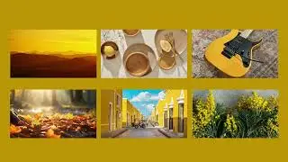 Johnsonite 2024 Color of the Year