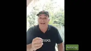 פרשת מטות - אבי באט.  מילה זו מילה!!!