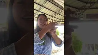Basic Sign Language Training @Bukidnon Breeze (Nov252025)