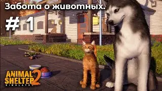 Открываем приют для животных ➤ Animal Shelter 2 #1