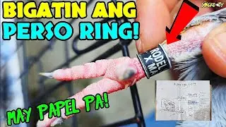KILALA NYO BA TO?