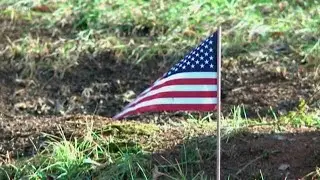Vietnam vet still working to identify graves