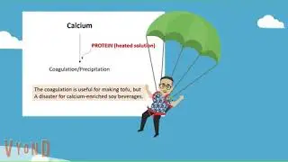 Understanding functional ingredients IMK 320