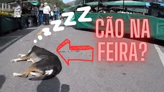 FEIRA CENTRO DE PETRÓPOLIS - RJ