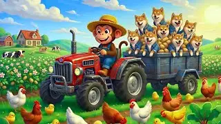 BABY MONKEY and SHIBA DOG TAKE CARE of the POTATO FARM | A Fun and Exciting Adventure