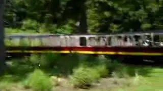 detroit zoo train
