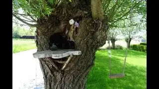 Little tree house for gnomes, our garden, and of course some pictures of reborns & dolls
