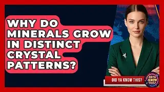 Why Do Minerals Grow In Distinct Crystal Patterns? - Did Ya Know This
