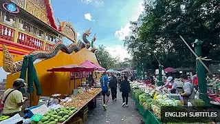 🇹🇭 THAILEX VDO Talaat Nat: The Soul of Thai Community Life