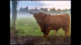 dejlige danmark