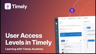 User Access Levels in Timely