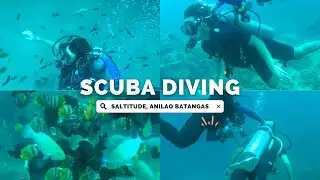 First Time Scuba Diving Experience in Anilao, Batangas