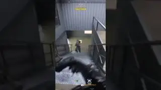 DMZ Knife Kill