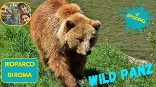 BIOPARCO ROMA 4° Episodio #zoo #animals #nature #bear #roma