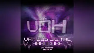 Dj Rikston Kicking only on (Various Digital Hardcore)