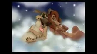 happy valentine's day ( a tale of doggie couples )