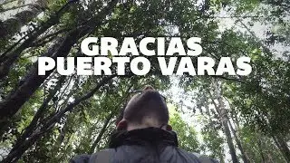Un bosque milenario - Sur de Chile / GoCarlos 4K