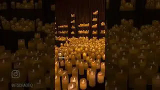 Life in warm yellows✨#candlelightconcert #piano #pianist #love #musicians #concert #candles #phoenix