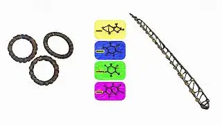Circular DNA & RNA: The Overlooked Molecules Powering the Next Wave of Biotech