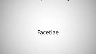 How to say Facetiae in English?