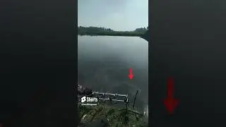 Ciri-ciri ikan memakan Cotton Bud 😆#shorts #mancing