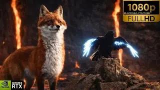 Spirit of the North 2 - The Fox's Adventure