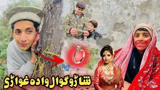 Sharoo Gul Wada Gwary | Pashto New Funny Video 2026 | Zkc Vines
