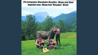 Der Wurzelsepp - Walzer