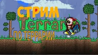 СТРИМ ПО ТЕРРАРИИ ПРЯМОЙ ЭФИР