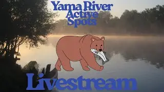 Russian Fishing 4 - Hunting Active Spots On Yama River - Possible Chum Salmon Trophy