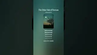 The Other Side of Fortune