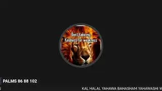 PALMS 86 88 102