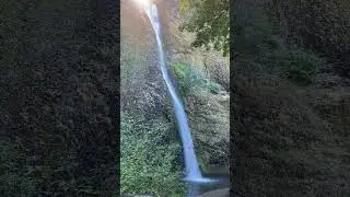 Horsetail falls - Oregon