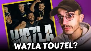 WA7LA by A.L.A First Reaction