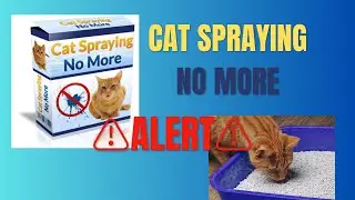 CAT SPRAYING NO MORE &ndash; ⚠️ALERT!⚠️ &ndash; Cat Spraying No More Reviews