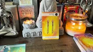 LIBRA ♎️￼Self-alignment and self-improvement through a relationship, work or more formal learning.