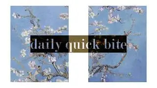 daily quick bite