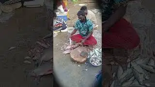 fish cutting ✂️#video #food #shorts #fishcutting #akkhan #viralmusic #viral #fish#🦈🦈