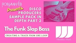 Disco Producers Samples Pack in Depth part 2 Funk Slap Bass